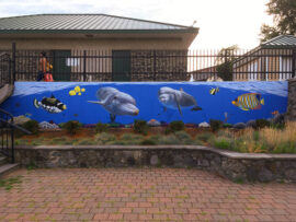 Dolphin Mural with Tropical Fish painted in Woonsocket RI by The Art Of Life