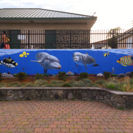 Dolphin Mural with Tropical Fish painted in Woonsocket RI by The Art Of Life