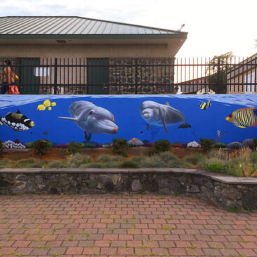 Dolphin Mural with Tropical Fish painted in Woonsocket RI by The Art Of Life