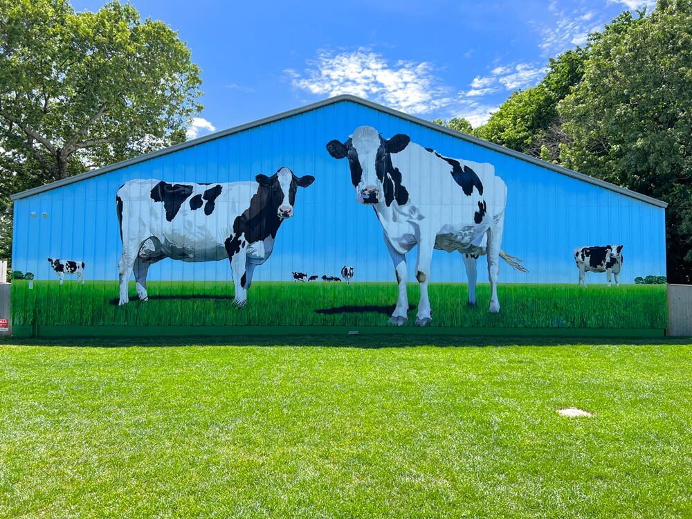 Giant Cow Mural on Barn by The Art Of Life