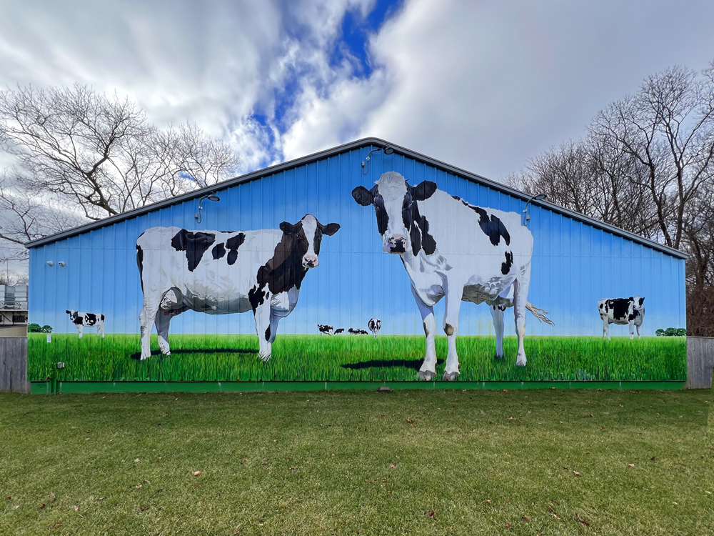 Exterior Mural of Giant Cows by Charles C. Clear and Bonnie Lee Turner of The Art Of Life