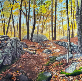 Wolf Hill Forest Preserve Painting by Rhode Island Artist Charles C. Clear III
