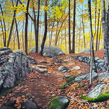 Wolf Hill Forest Preserve Painting by Rhode Island Artist Charles C. Clear III